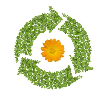 Life Cycle Assessment (LCA)